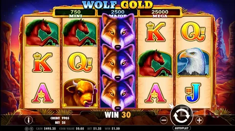 Wolf Gold pokie at SpinBit Casino NZ
